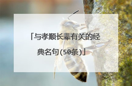 与孝顺长辈有关的经典名句(50条)