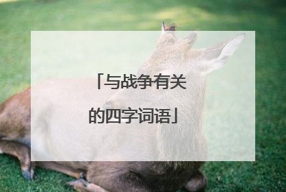与战争有关的四字词语
