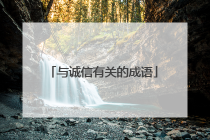 与诚信有关的成语