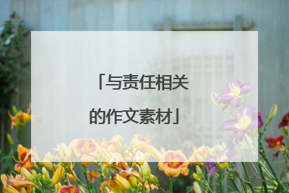 与责任相关的作文素材