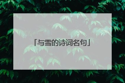 与雪的诗词名句