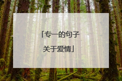 专一的句子 关于爱情