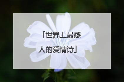 世界上最感人的爱情诗