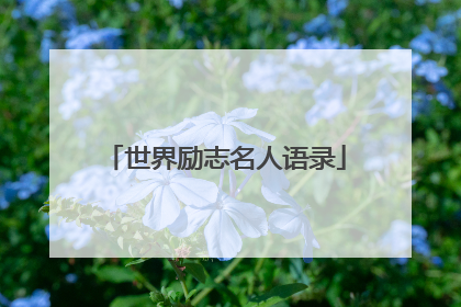 世界励志名人语录