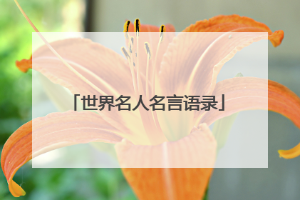 世界名人名言语录