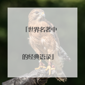 世界名著中的经典语录