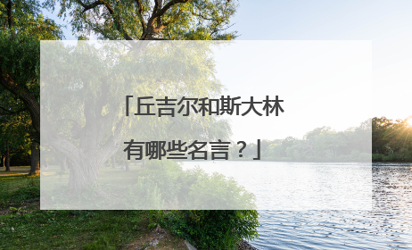 丘吉尔和斯大林有哪些名言?