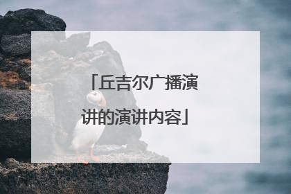 丘吉尔广播演讲的演讲内容