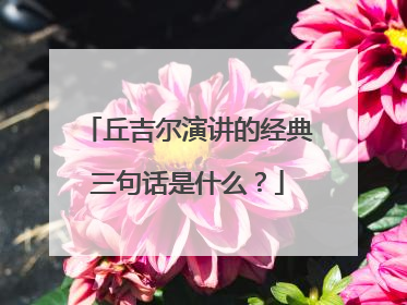 丘吉尔演讲的经典三句话是什么?