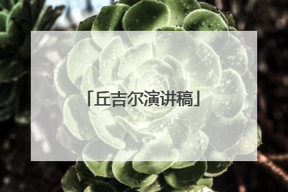 丘吉尔演讲稿