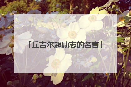 丘吉尔超励志的名言