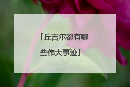 丘吉尔都有哪些伟大事迹
