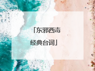东邪西毒经典台词