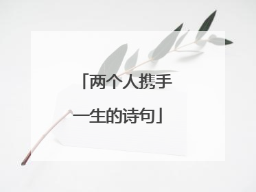 两个人携手一生的诗句