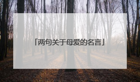 两句关于母爱的名言