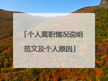 个人离职情况说明范文及个人原因