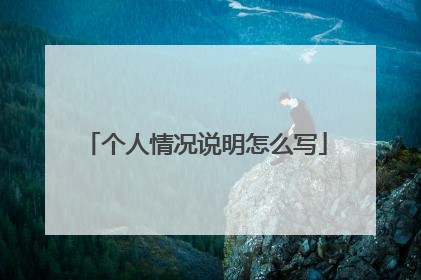 个人情况说明怎么写