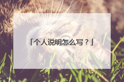 个人说明怎么写?