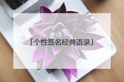 个性签名经典语录