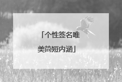 个性签名唯美简短内涵