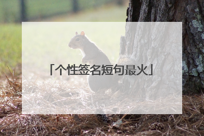 个性签名短句最火