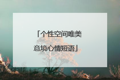 个性空间唯美意境心情短语