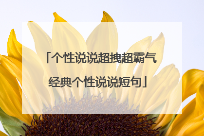 个性说说超拽超霸气 经典个性说说短句