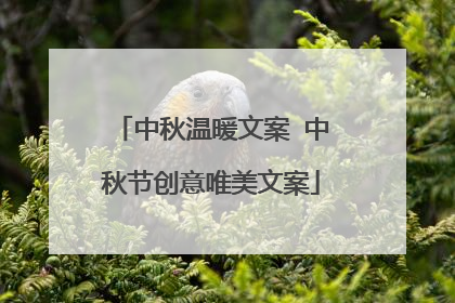 中秋温暖文案 中秋节创意唯美文案