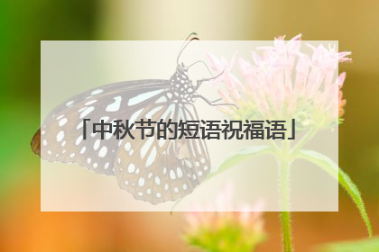中秋节的短语祝福语