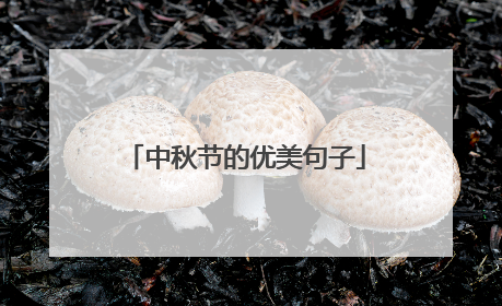 中秋节的优美句子