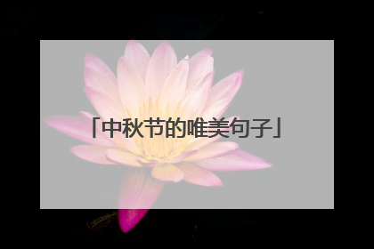 中秋节的唯美句子