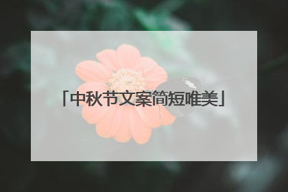 中秋节文案简短唯美
