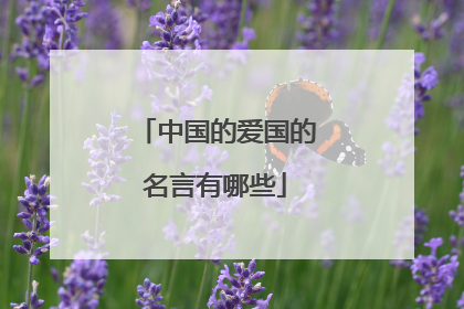 中国的爱国的名言有哪些