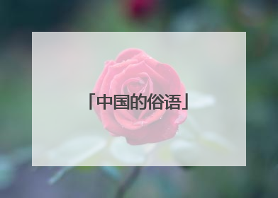 中国的俗语