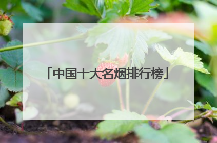 中国十大名烟排行榜