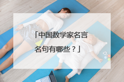 中国数学家名言名句有哪些?