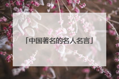 中国著名的名人名言
