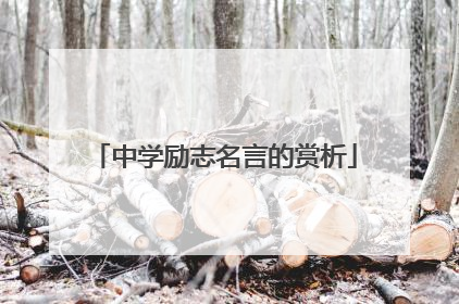 中学励志名言的赏析