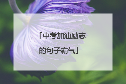 中考加油励志的句子霸气