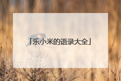 乐小米的语录大全