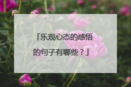 乐观心态的感悟的句子有哪些?