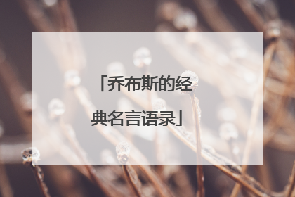 乔布斯的经典名言语录