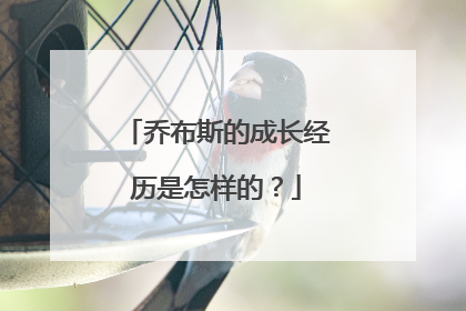 乔布斯的成长经历是怎样的?