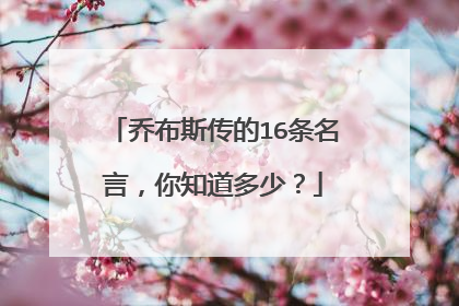 乔布斯传的16条名言,你知道多少?
