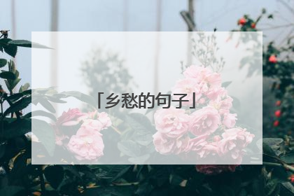 乡愁的句子