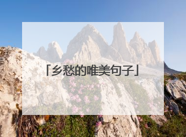 乡愁的唯美句子