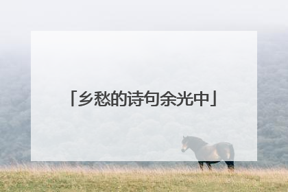 乡愁的诗句余光中