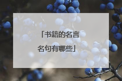 书籍的名言名句有哪些