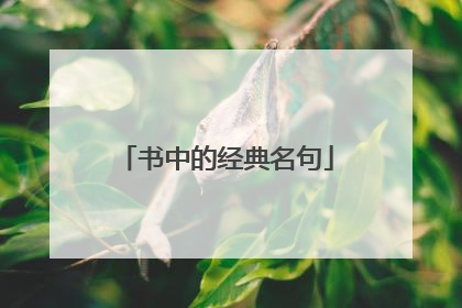 书中的经典名句