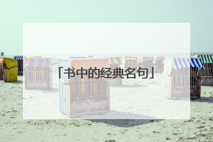 书中的经典名句